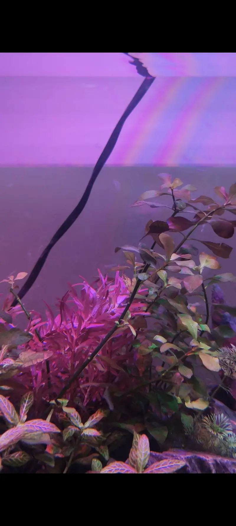 aquarium — photo 7