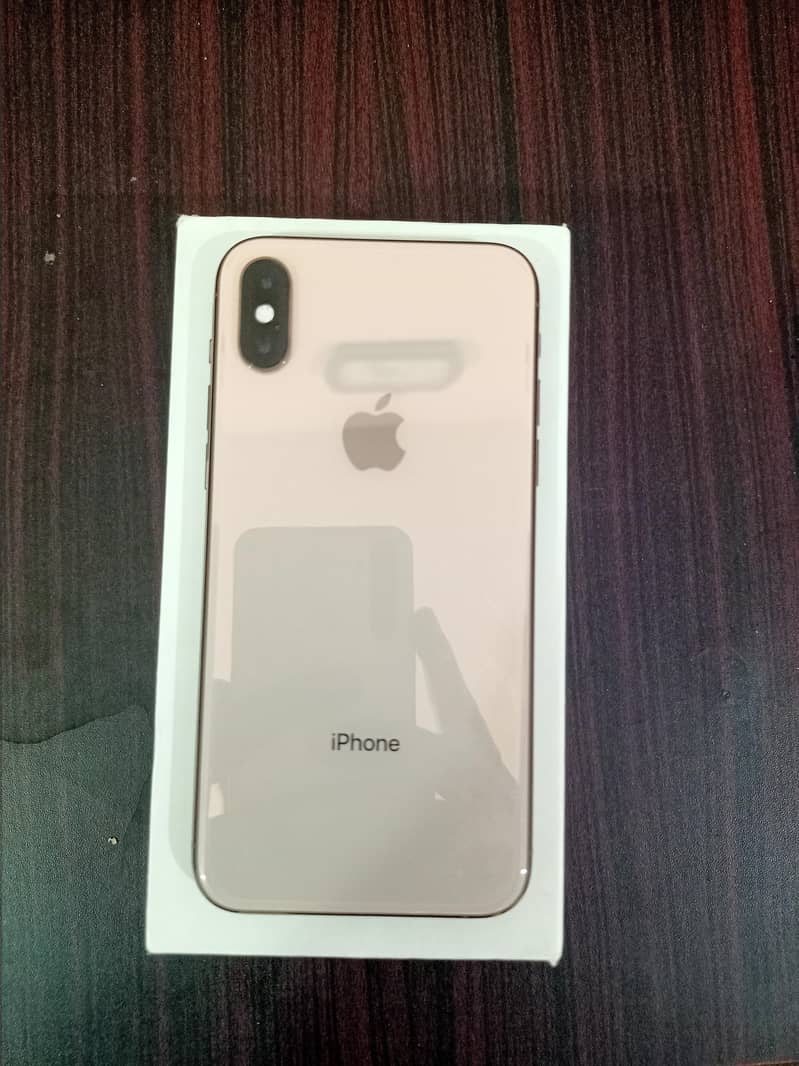 Apple iPhone XS 1