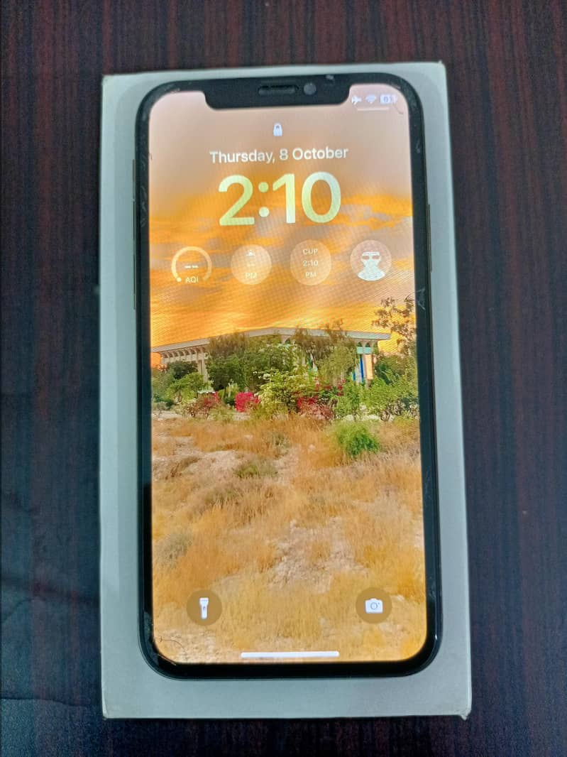 Apple iPhone XS 2