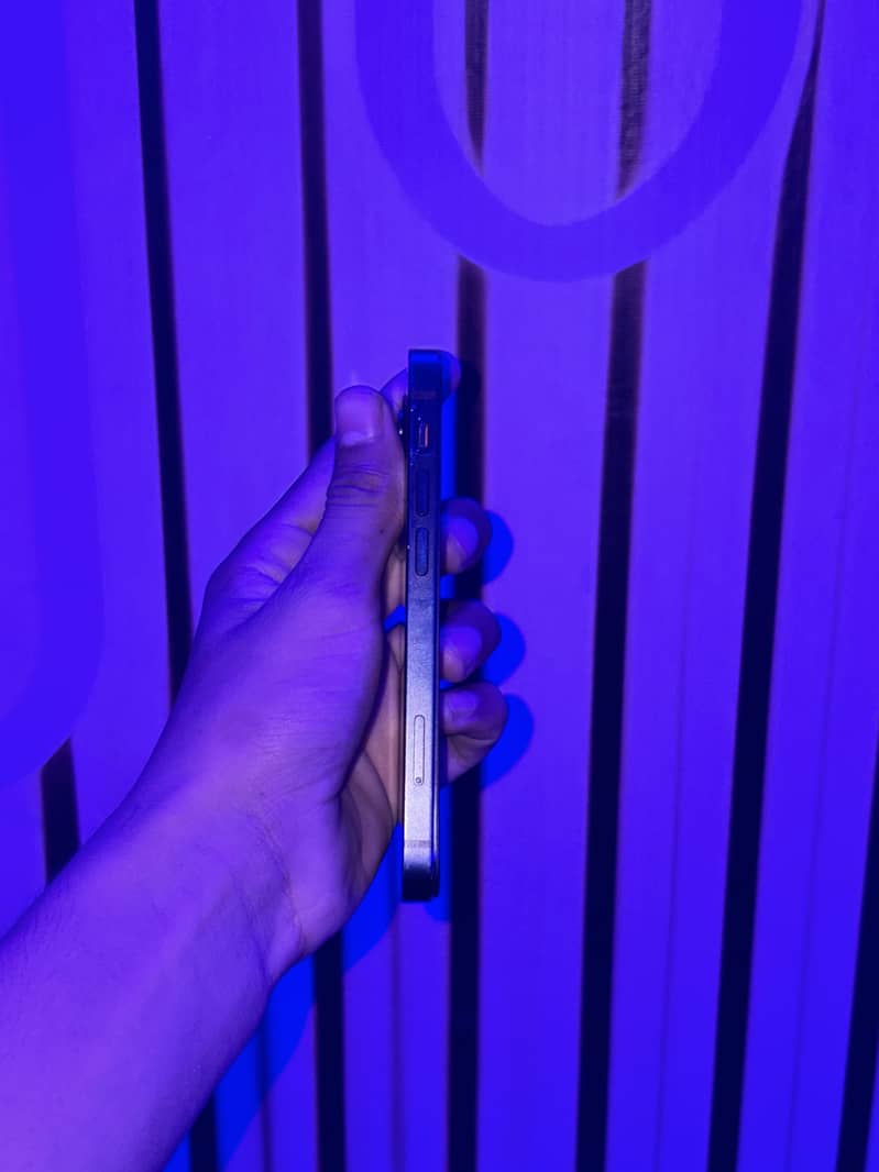 Apple iPhone 12 mini 1