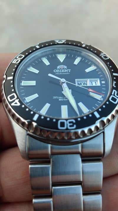 orient kamasua