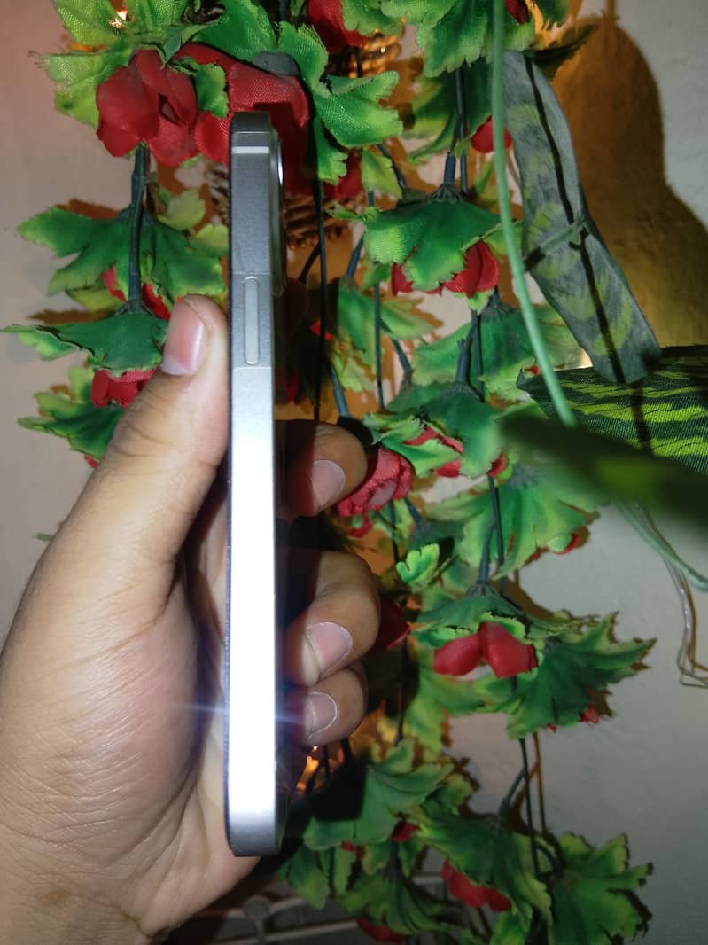 Apple iPhone 13 2