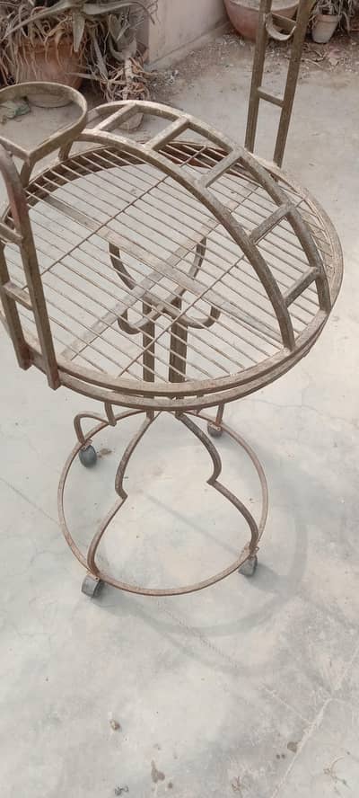 grey and macaow sitting stand