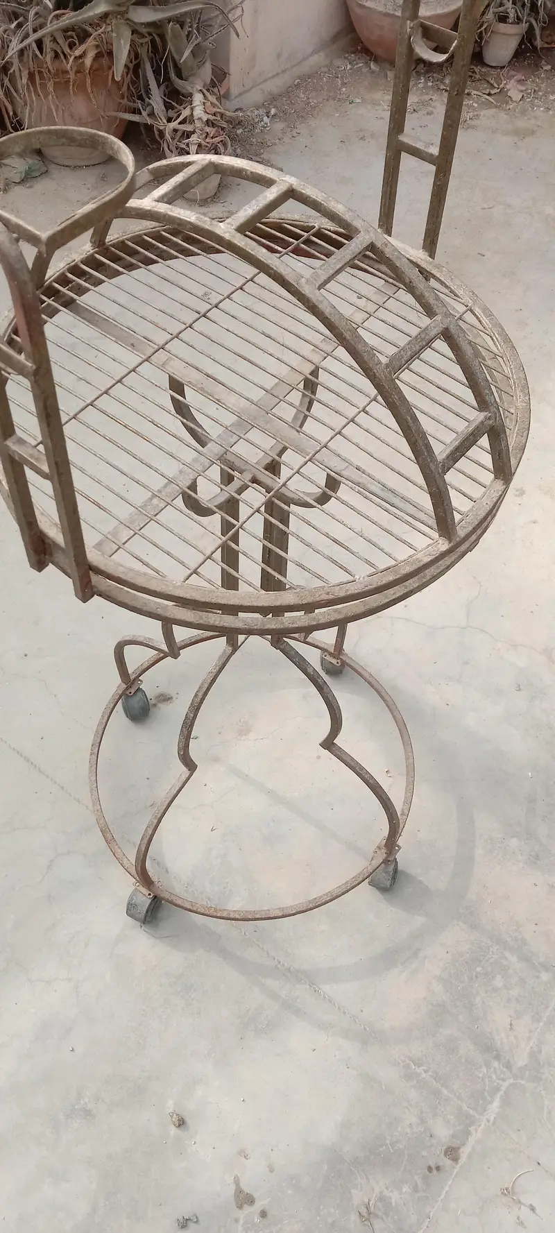grey and macaow sitting stand