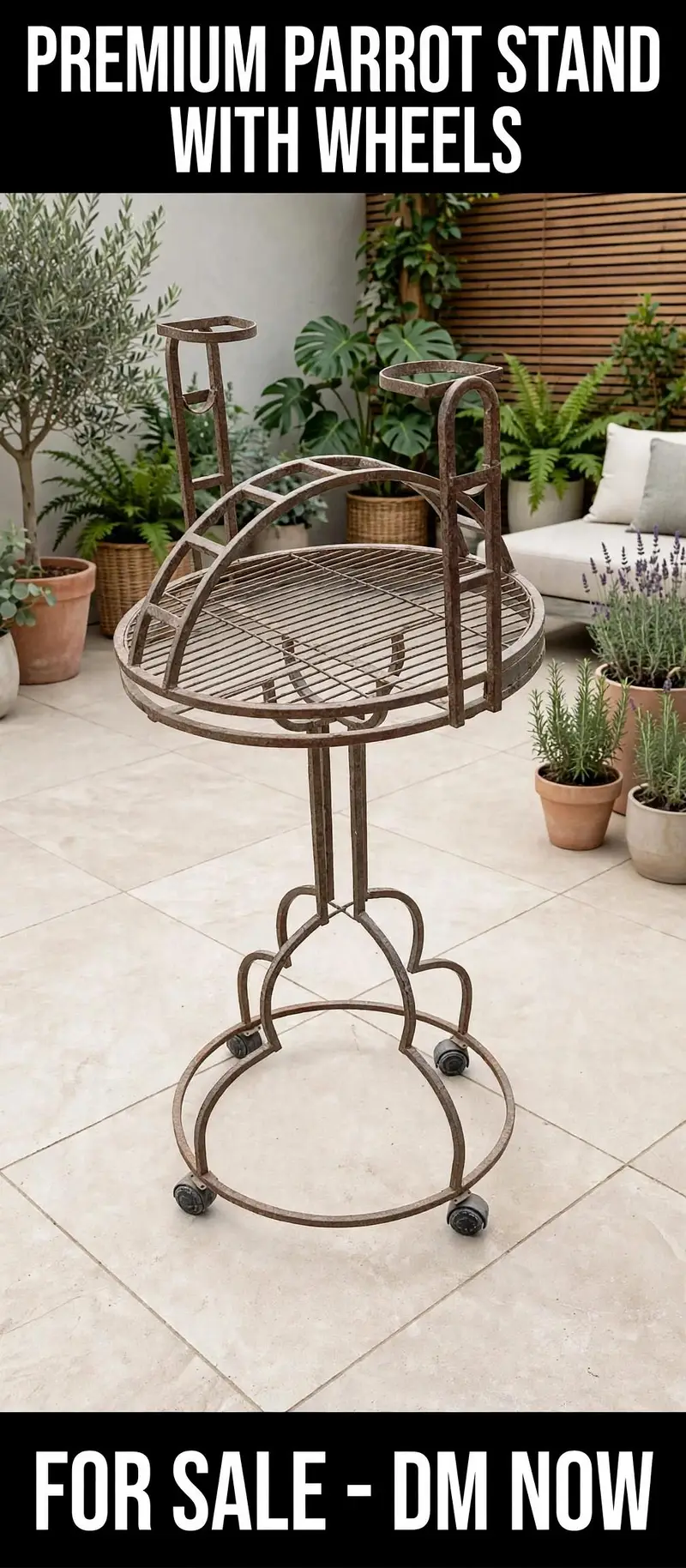 grey and macaow sitting stand — photo 2