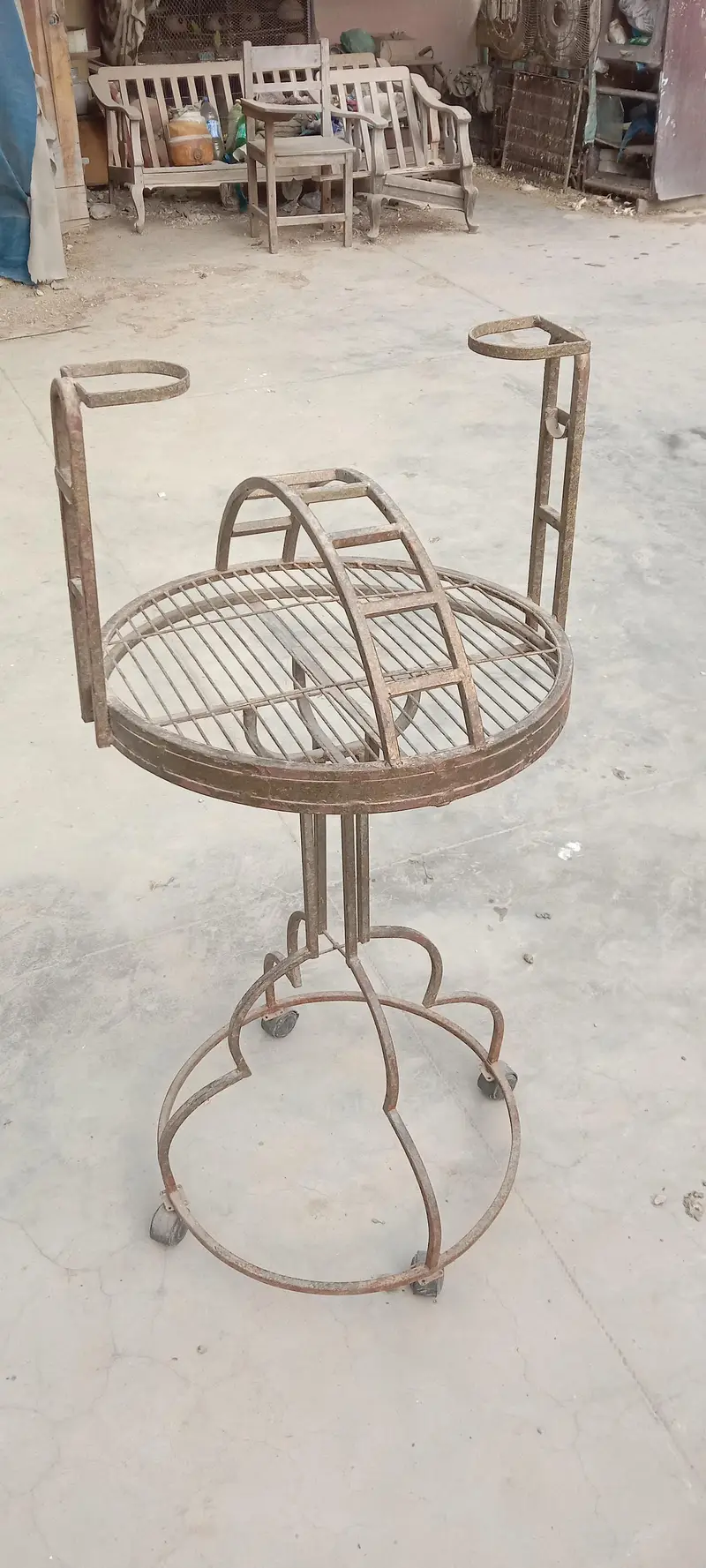 grey and macaow sitting stand — photo 3