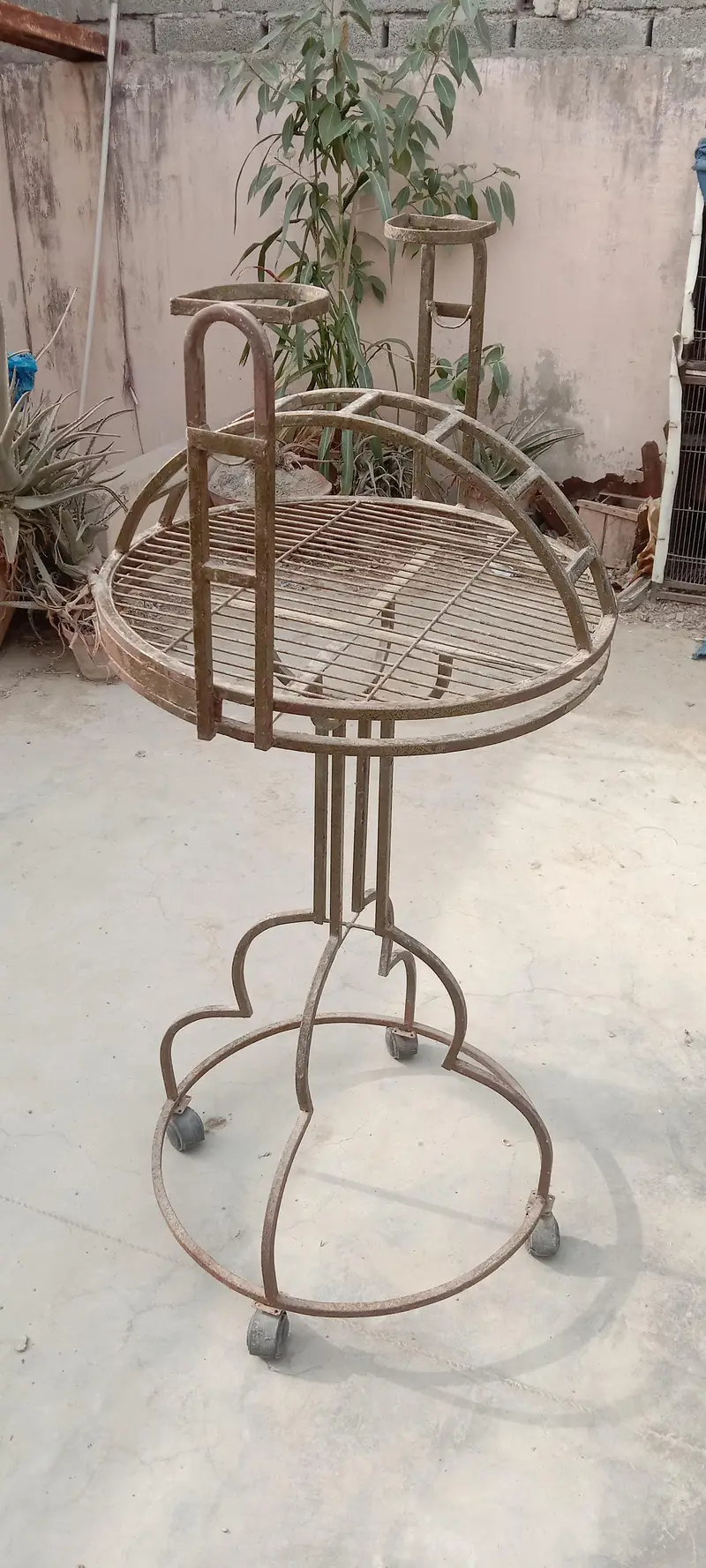grey and macaow sitting stand — photo 4