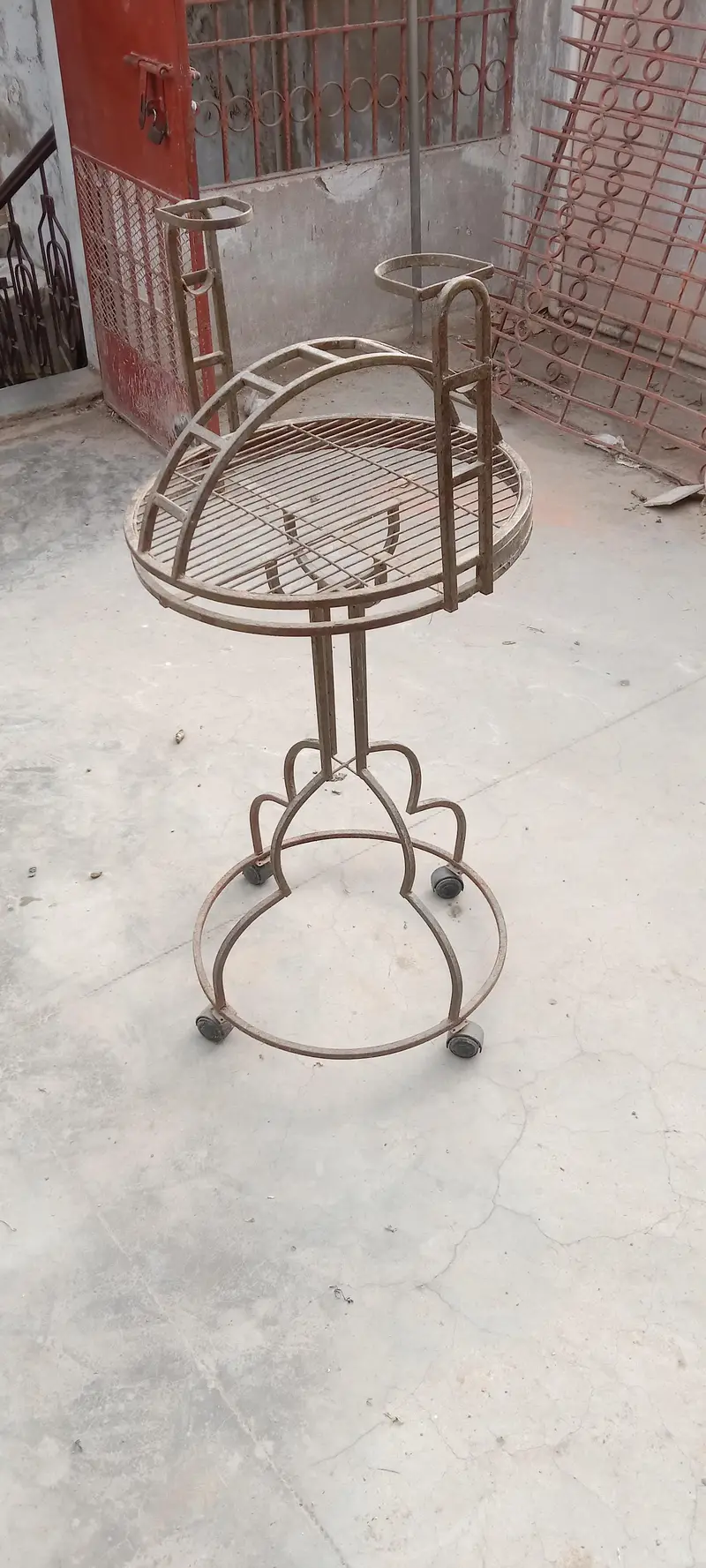 grey and macaow sitting stand — photo 5