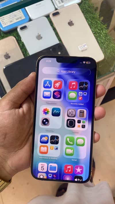 Apple iPhone 13 Pro Max