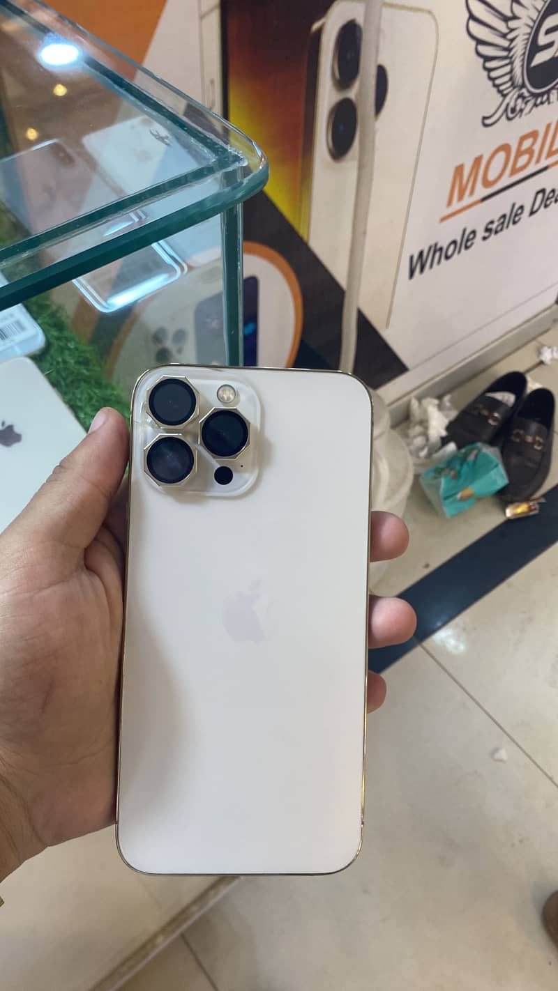 Apple iPhone 13 Pro Max 1