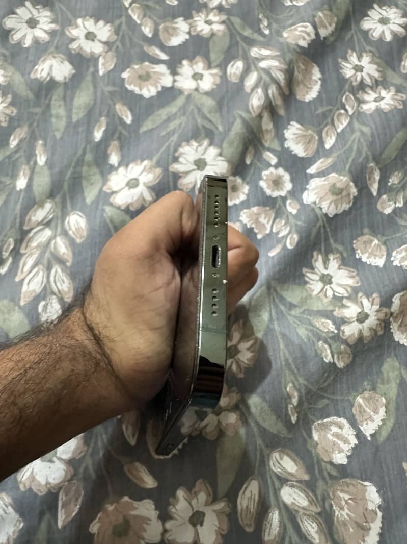 Apple iPhone 13 Pro Max 1