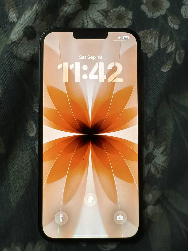 Apple iPhone 13 Pro Max 7