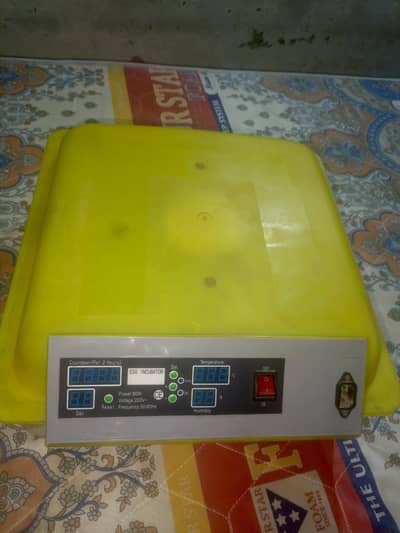 full automatic 48 eggs incubator for sale