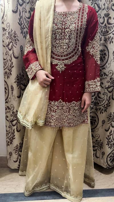 Ladies Fancy Dress_Worn Once_Size Small