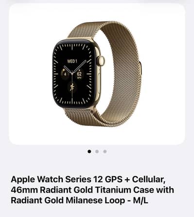 Apple watch series 12 stainless steel 46mm