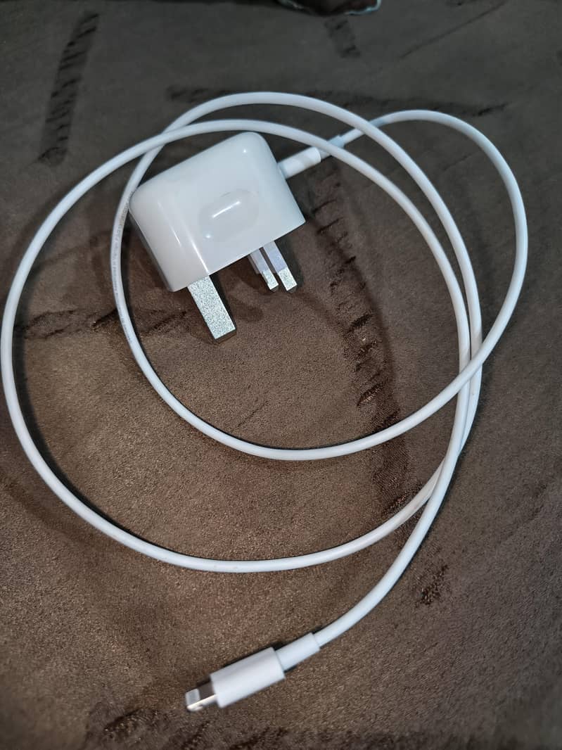 iPhone charger 0