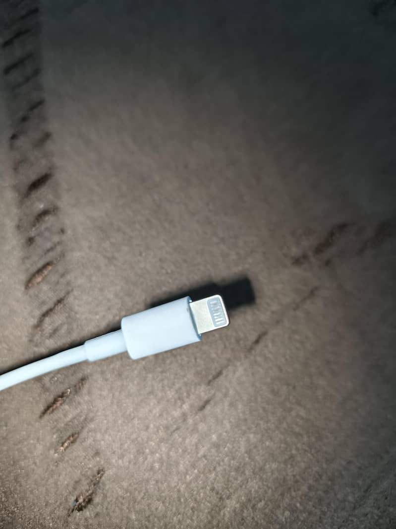 iPhone charger 2