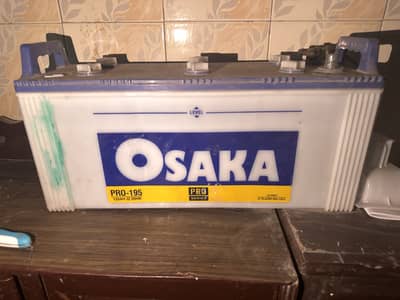 Osaka batter Pro 195 for sale