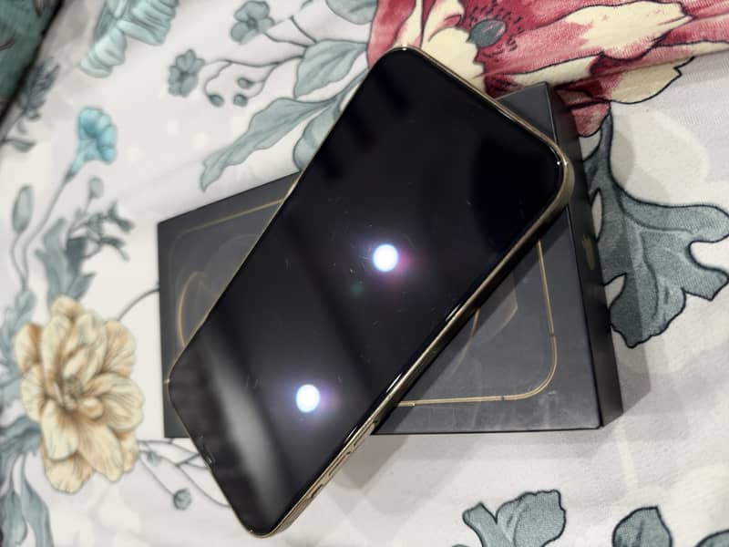 Apple iPhone 12 Pro Max 0