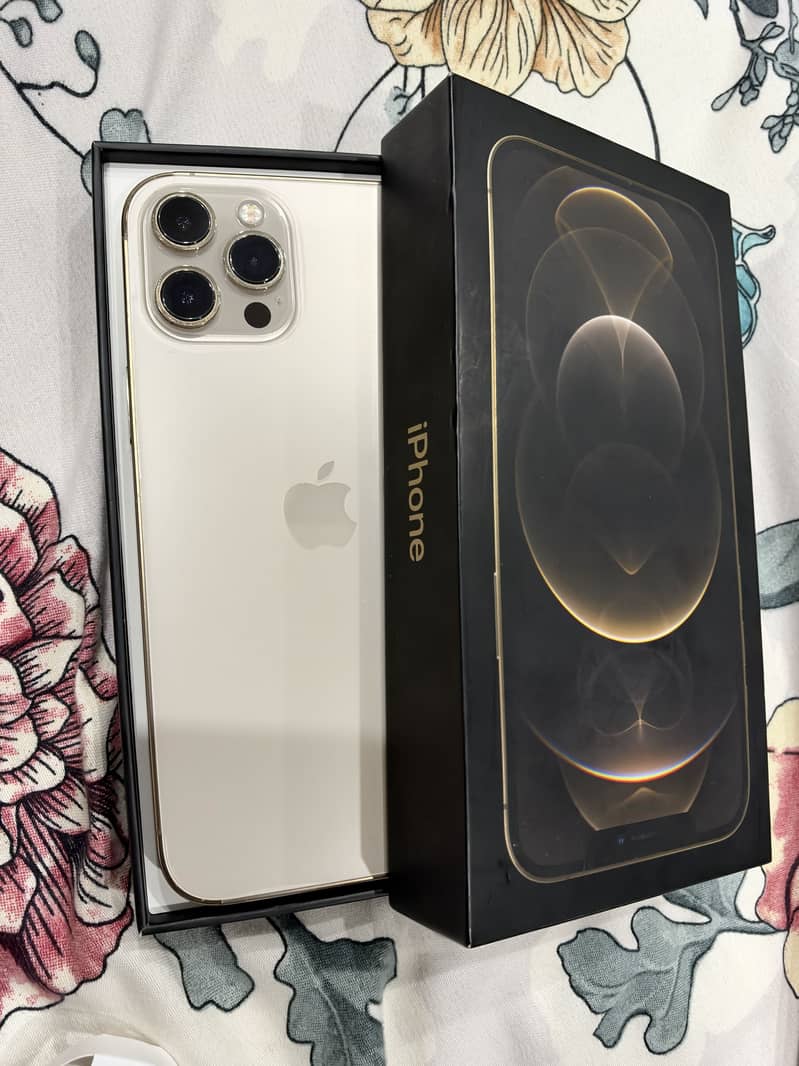 Apple iPhone 12 Pro Max 1