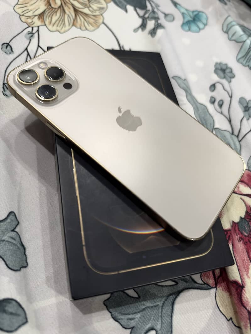 Apple iPhone 12 Pro Max 2