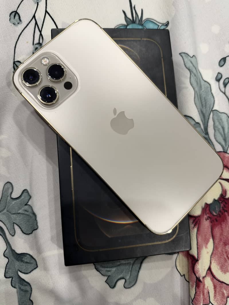 Apple iPhone 12 Pro Max 3