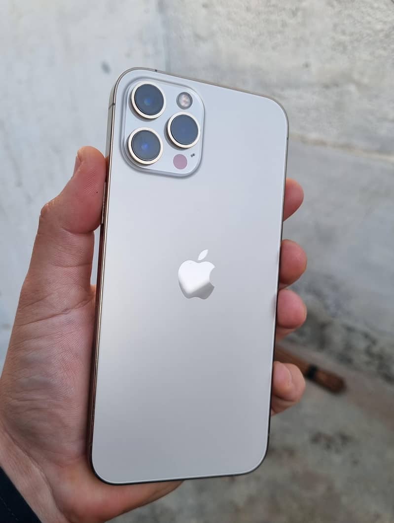 Apple iPhone 12 Pro Max 1