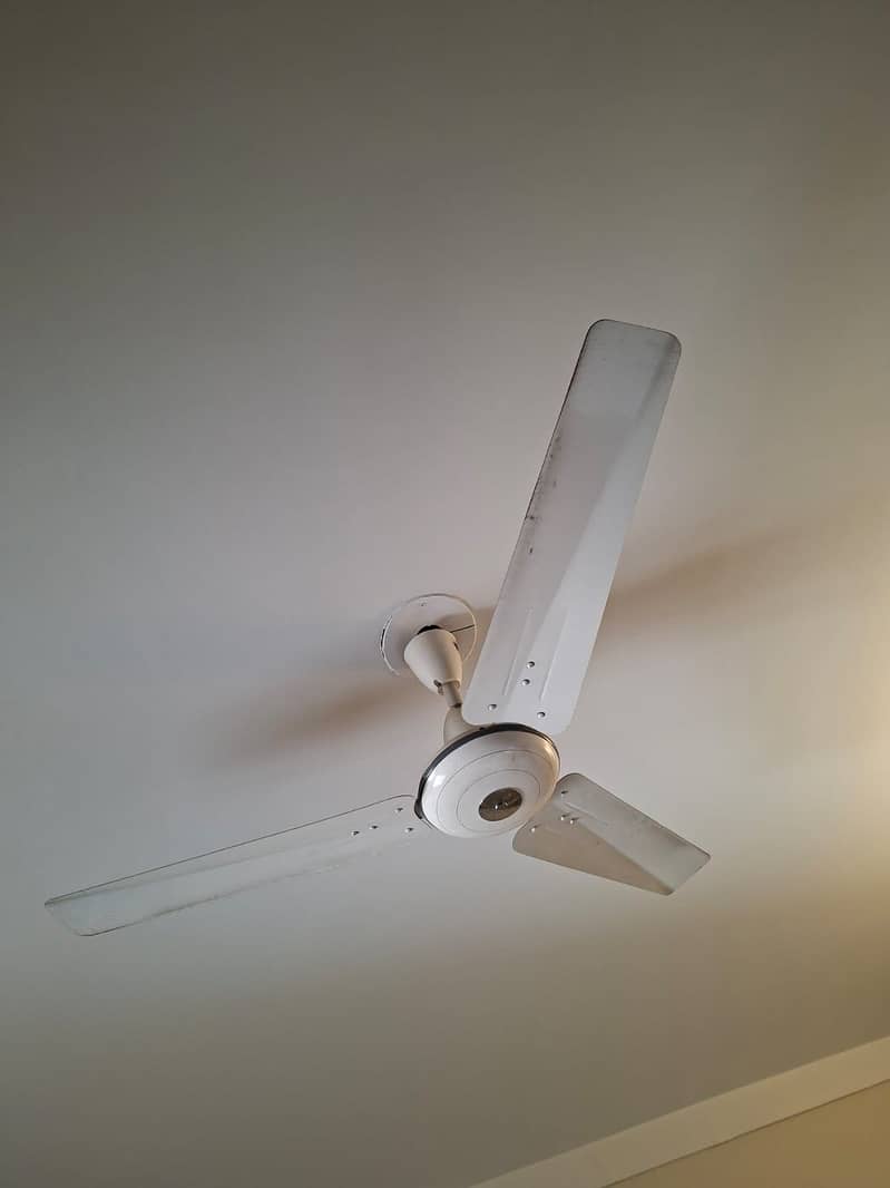 Fans Genuine 2