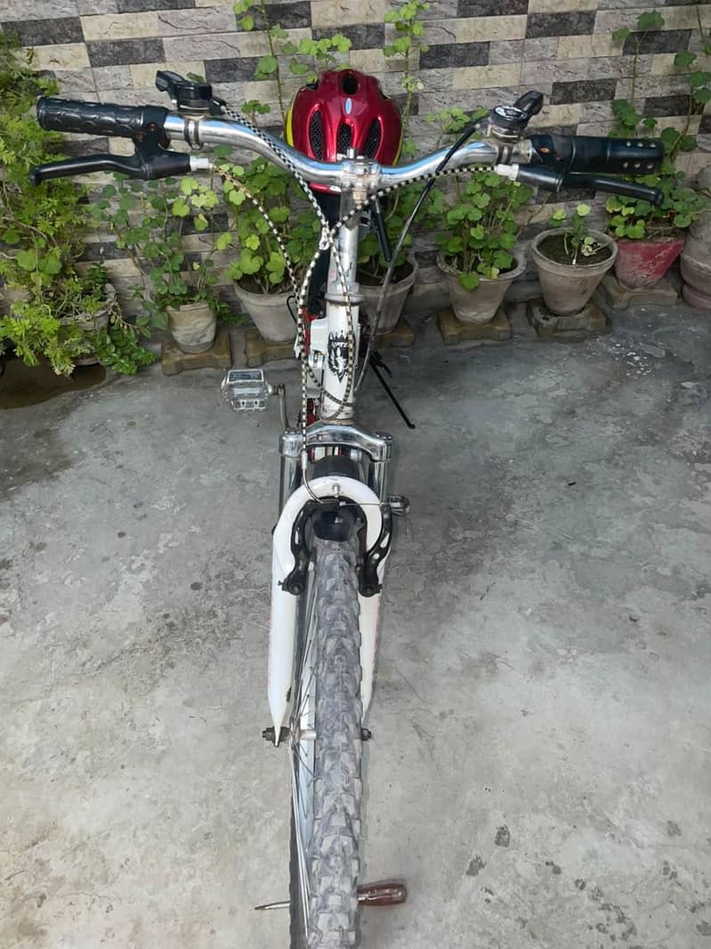 folding bicycle 1