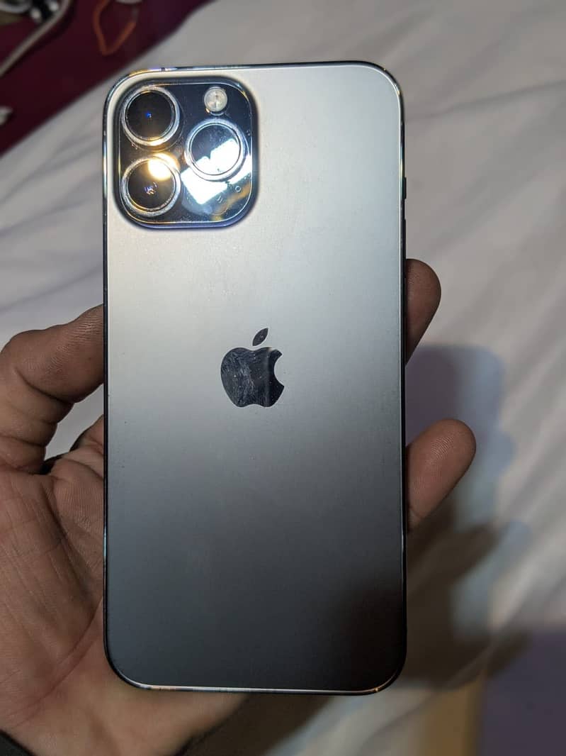 Apple iPhone 13 Pro Max 1