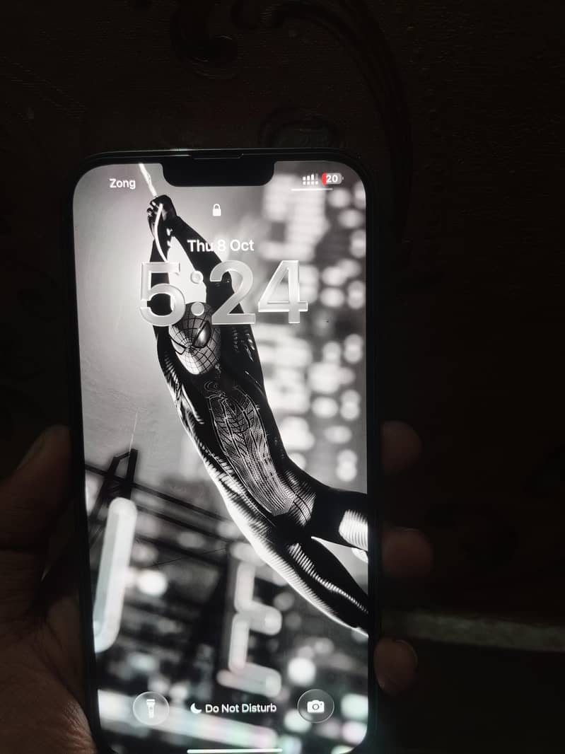Apple iPhone 13 Pro Max 2