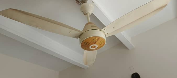 Karam Fan