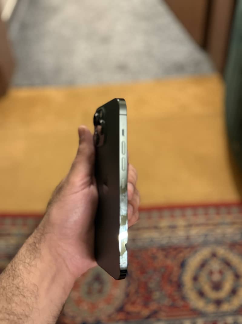 Apple iPhone 13 Pro Max 1