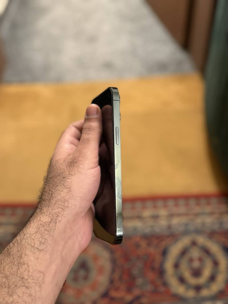 Apple iPhone 13 Pro Max 2