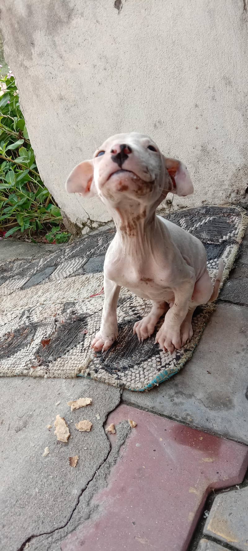 selling 1
