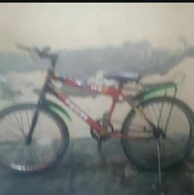 big Bicycle 2