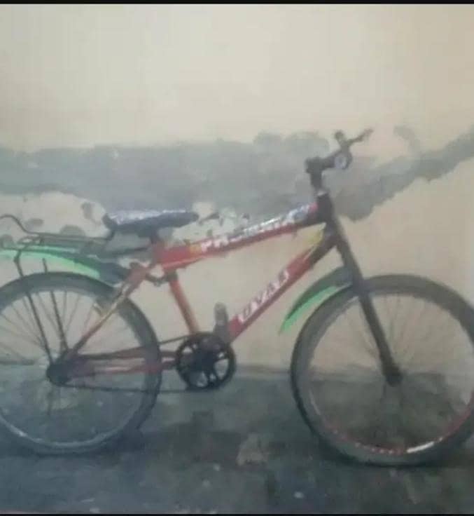big Bicycle 0