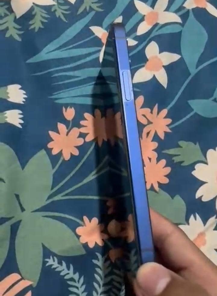Apple iPhone 12 1