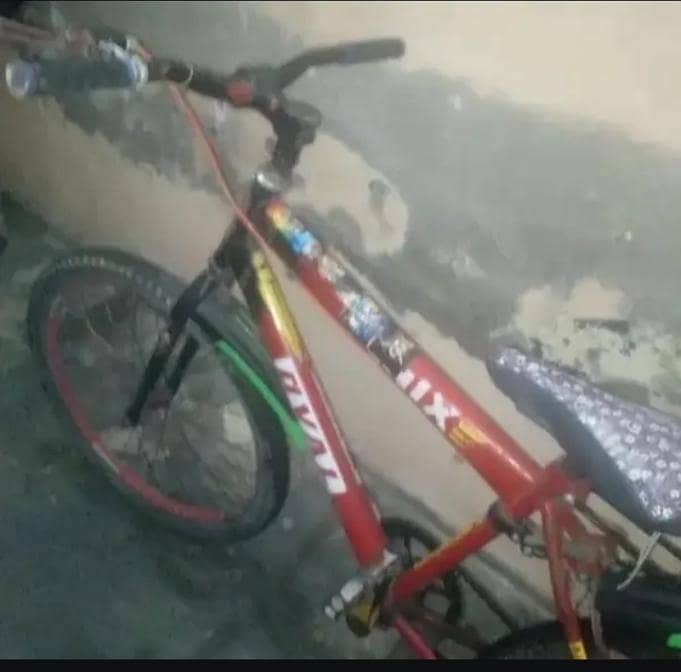 big Bicycle 3