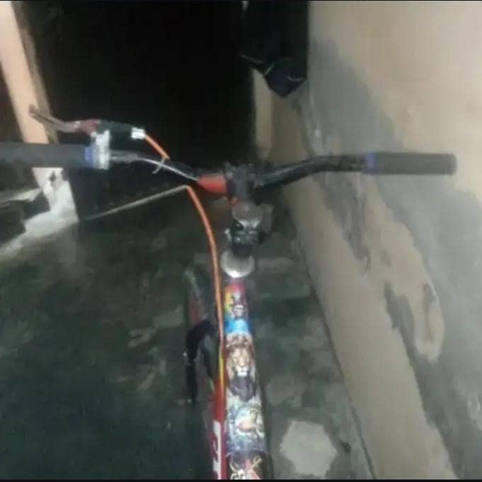 big Bicycle 1
