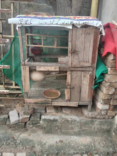 for sale panjra
