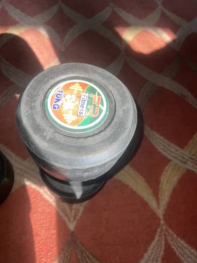 10 kg dumbbells