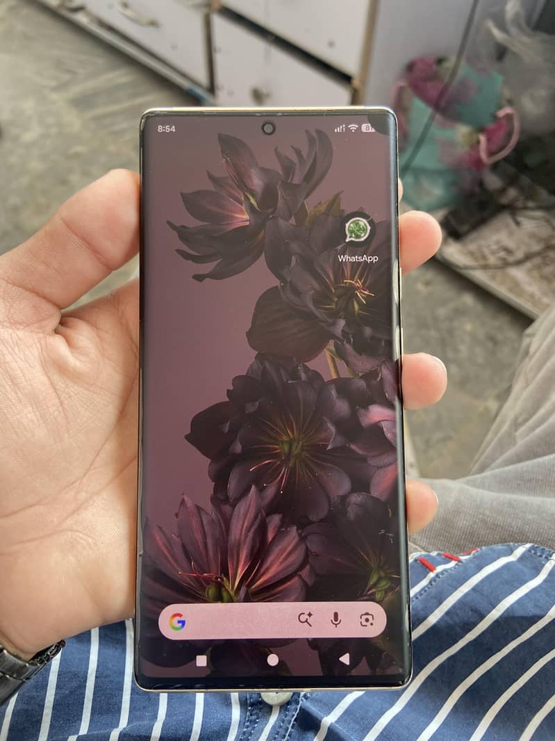 Google Pixel 6 Pro 2