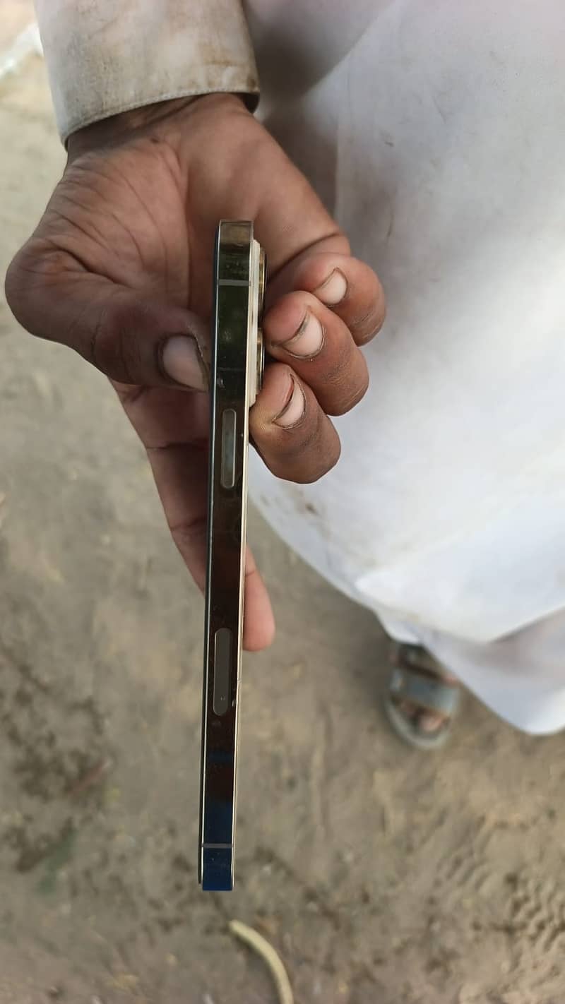 Apple iPhone 13 Pro Max 1