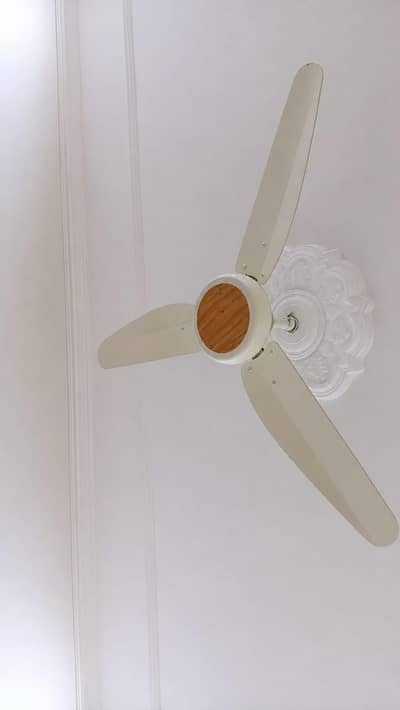brand new fan for sale