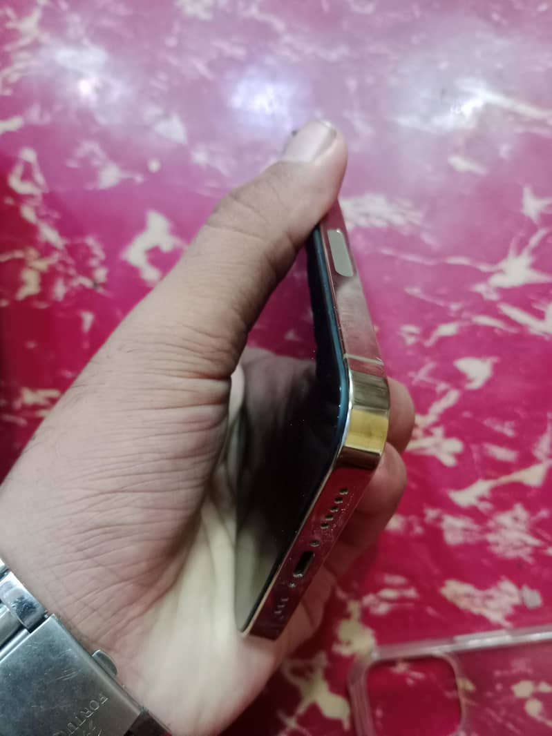 Apple iPhone 12 Pro Max 1
