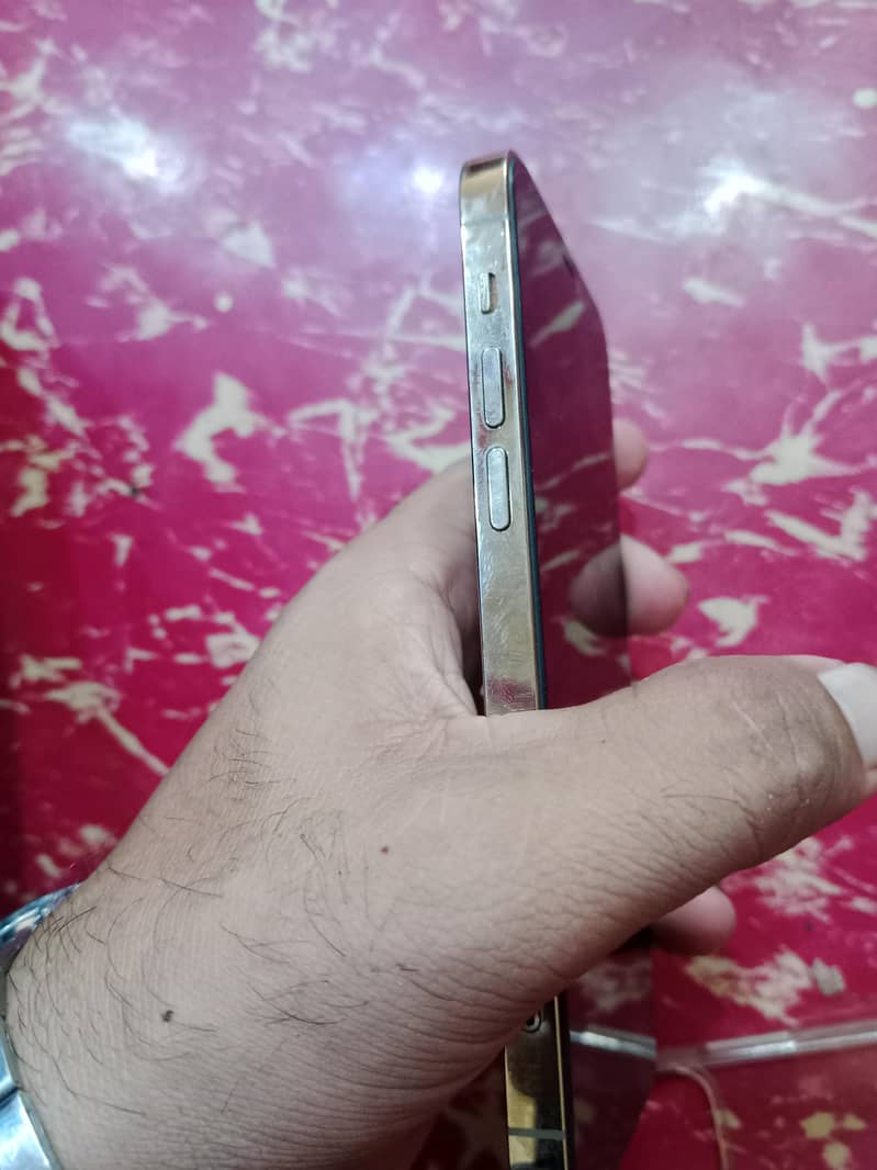 Apple iPhone 12 Pro Max 2