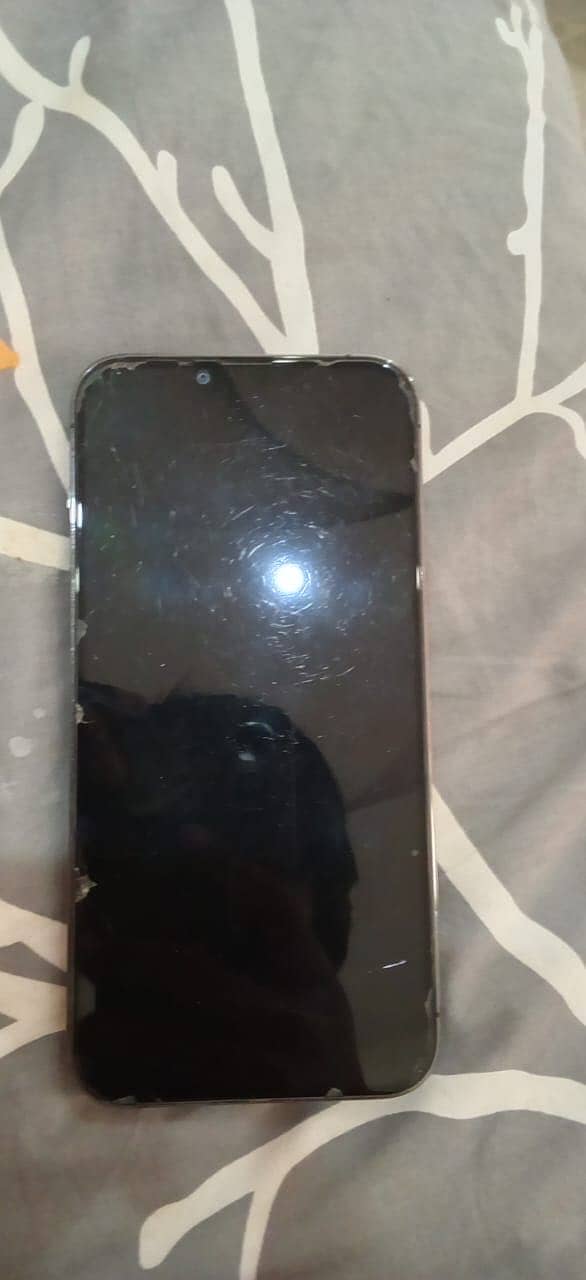Apple iPhone 13 Pro Max 0