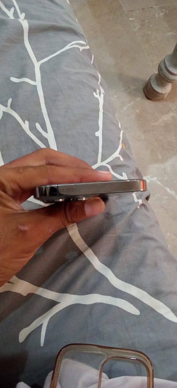 Apple iPhone 13 Pro Max 1