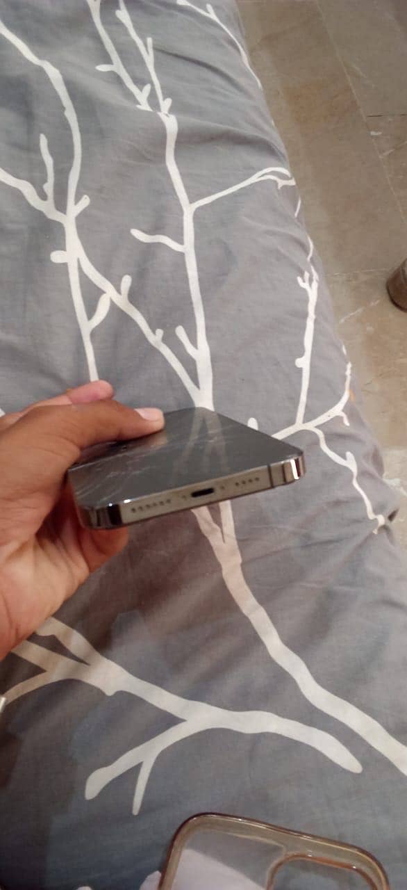 Apple iPhone 13 Pro Max 2